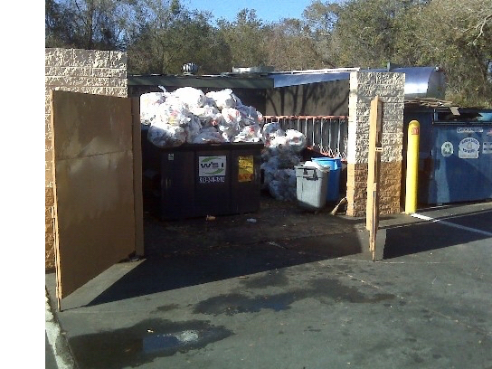 Dumpster (1)